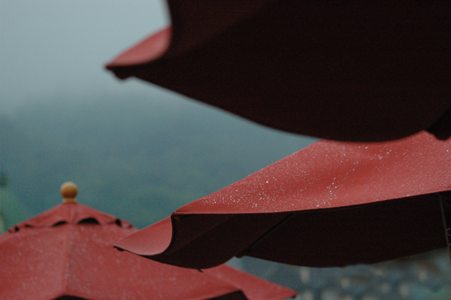 Red Umbrellas