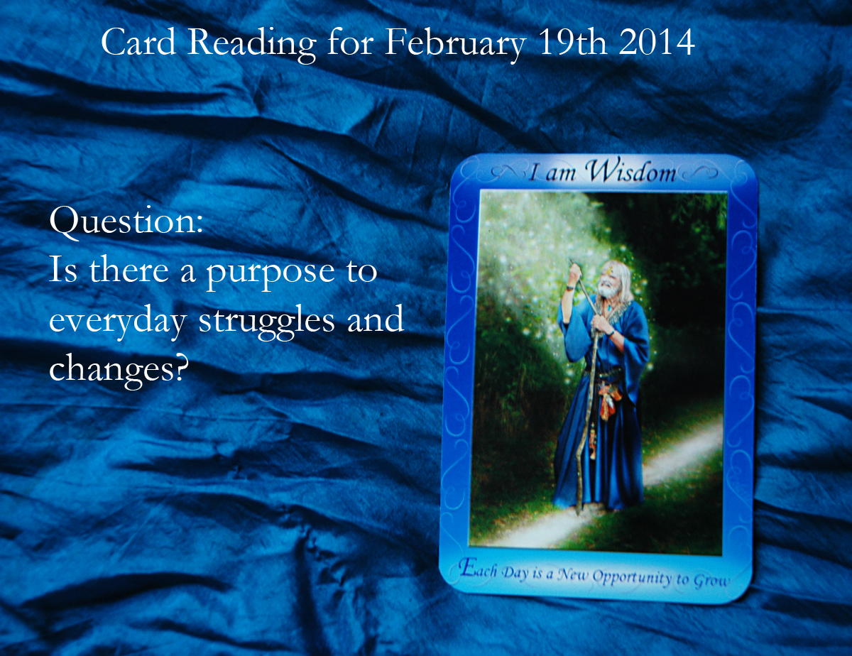 Card reading for February 19th 2014